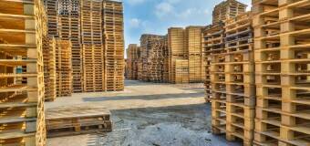 Serwis palet euro a ochrona środowiska