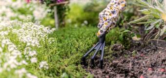 Pielęgnacja ogrodów i usługi leśne – Mazurlas Kętrzyn