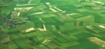 Wycena gruntów rolnych i budowlanych - Dariusz Sas