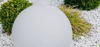 Świeża kora suszona w ogrodnictwie i architekturze krajobrazu