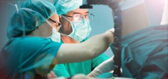 Chirurgia zwierząt małych – Gabinet Weterynaryjny Anilove