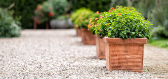 Czy grys marmurowy sprawdzi się jako kamień ozdobny w Twoim ogrodzie?