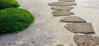 Grys Thassos – piękno i funkcjonalność w ogrodzie