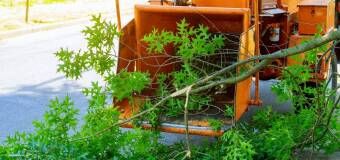 Frezowanie pni po wycince drzew – nowoczesne rozwiązanie