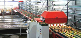 Na co zwrócić uwagę przy wyborze dostawcy warzyw i owoców?