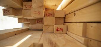 Drewno surowe w budownictwie – Arto PPHU Arkadiusz Madejczyk