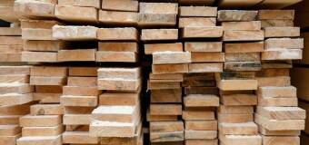 Tarcica jodłowa w budownictwie – Tartak Wolski