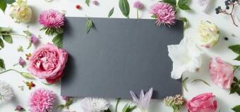 Wyjątkowe obrazki okolicznościowe – Anko