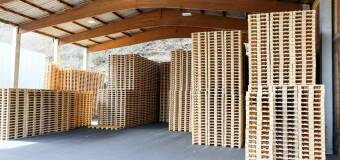 Obróbka fitosanitarna drewna i certyfikaty IPPC