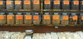 Odżywianie psów i królików - Paka-Słodziaka