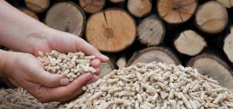 Ekologiczne materiały opałowe – Piórki Pellet