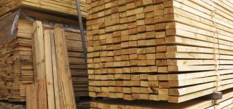 Wybór drewna w budownictwie – Tartak Powidz
