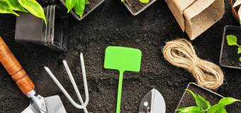 Aeratory i wertykulatory – Krysiak Sprzęt do Ogrodu