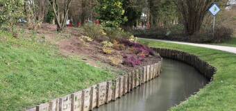 Faszyna techniczna w budownictwie wodnym