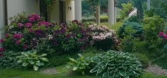 Roślinne spa, czyli jak zadbać o stary ogród i dać mu nowe życie