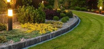 Byliny w ogrodzie – klucz do pięknych kompozycji