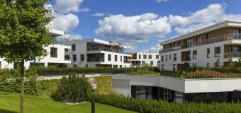 Ekspertyzy dendrologiczne w projektowaniu terenów zieleni