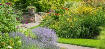 Usługi ogrodnicze Grinland - projektowanie i pielęgnacja