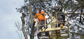 Prace dźwigowe i prace z podnośnikiem.