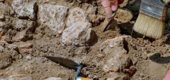 Edukacja w Archeologii – Ochrona Dziedzictwa Kulturowego