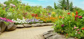 Wybór roślin do ogrodu – kluczowe czynniki