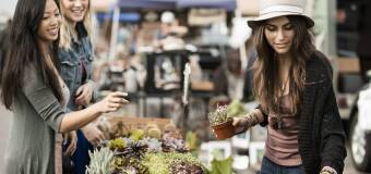 Kwiatowy kiosk na Bieńczyckim Placu Targowym