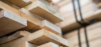 Suszenie drewna w komorze – klucz do jakości materiału