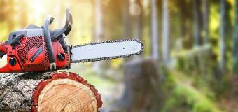 Nowoczesne pilarki spalinowe – Agros Hudyka