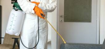 Zwalczanie szkodników w miejscach pracy – Usługi DDD