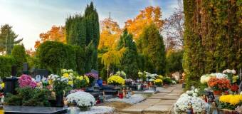 Kwiaty cmentarne - wybór i pielęgnacja