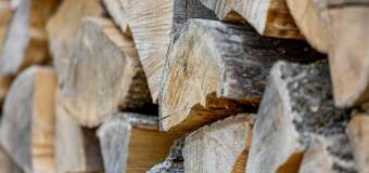 Przechowywanie drewna opałowego – Gromada Leśna