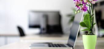 Laptopy biznesowe – zwiększ efektywność operacyjną
