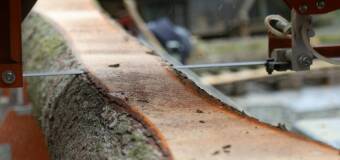 Precyzyjne przecieranie drewna w produkcji tartacznej