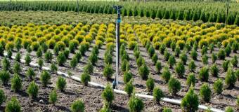 Automatyczne nawadnianie - innowacyjne rozwiązania dla ogrodów