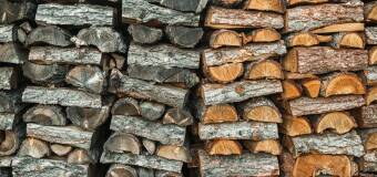 Brykiet rekord – ekologiczne paliwo od Piórki