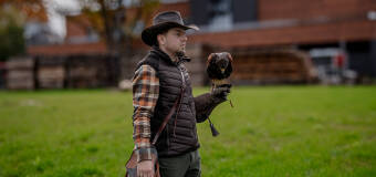 Edukacyjne zajęcia z ptakami drapieżnymi – Szponiaste & Falconer