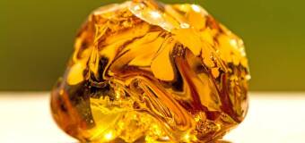 Obróbka i przechowywanie propolisu – Prokit Skup Propolisu