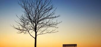 Choroby psychiczne – informacje i wsparcie