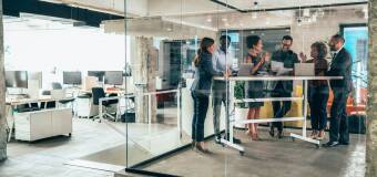 Współpraca w projektach ogrodniczych – Wolny Ogrody