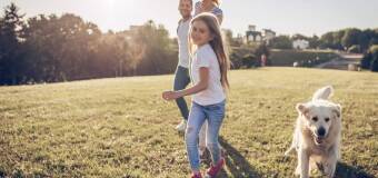 Ubezpieczenia na życie – Paulina Musiatowicz