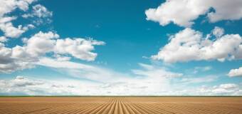 Wysokie standardy uprawy ziemniaków w Holstar