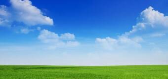 Ścinanie trawy z gruntu – Trawa z rolki Jaworznik