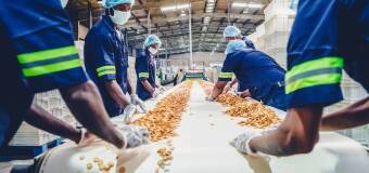 Foliap Sp. j. T. P. Piotrowicz - elastyczność w usługach