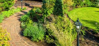 Usługi ogrodnicze w Białymstoku – Marcin Rozmysłowski