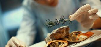 Wybór dziczyzny do restauracji – Leśniczówka