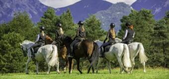 Przejażdżki konne w Jastrzębiu – Galopagos Stajnia