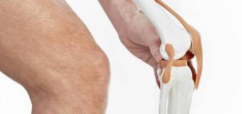 Ultrasonografia biodra - diagnostyka w Włocławku