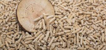 Wybór pelletu do pieca – kluczowe informacje