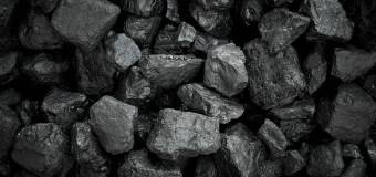 Zakup próbki węgla - Piórki Pphu Marcin Piórkowski