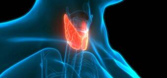 Badania ultrasonograficzne szyi w diagnostyce endokrynologicznej